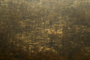 Incêndios e seca na Amazônia e no Pantanal batem marcas históricas