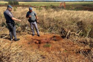 Ossada humana é encontrado em área verde próximo, em Limeira