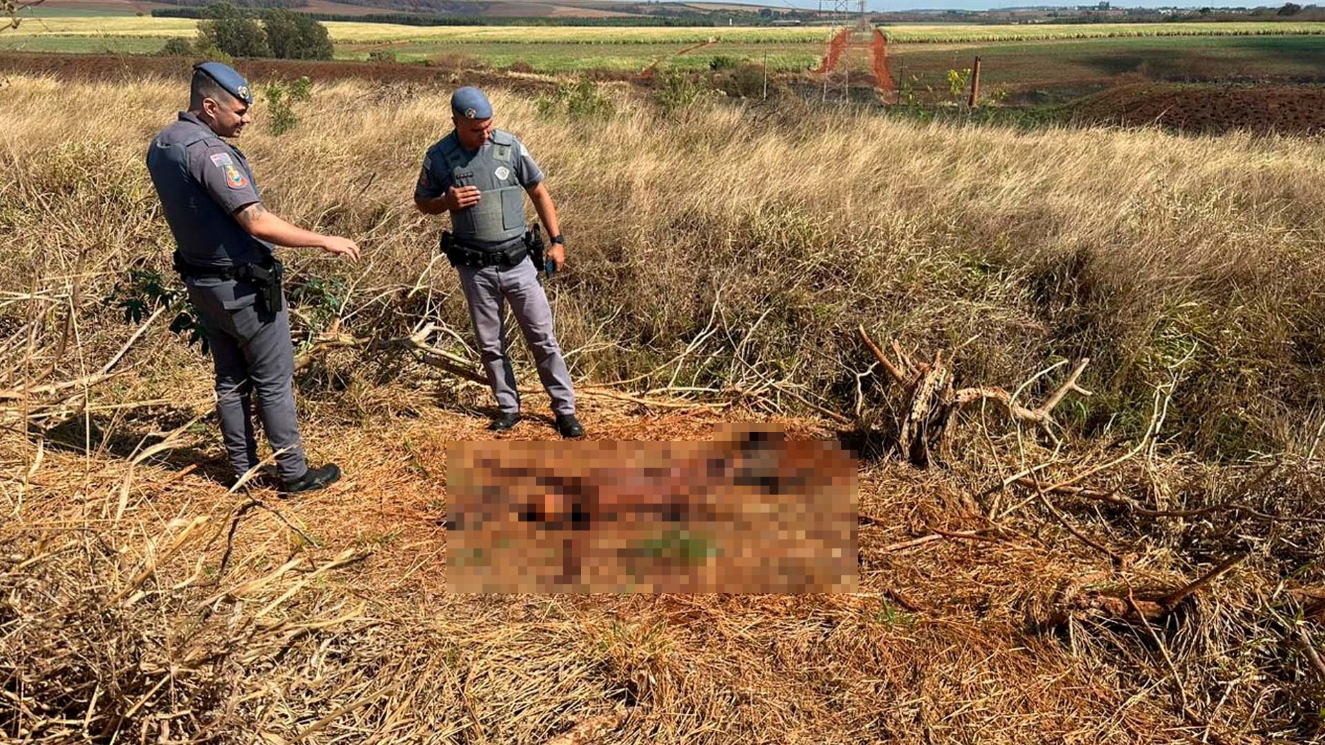 Ossada humana é encontrado em área verde próximo, em Limeira