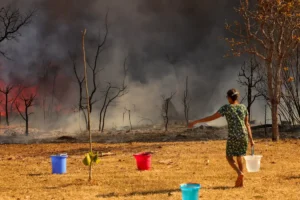 PF inicia investigação sobre incêndio em Brasília