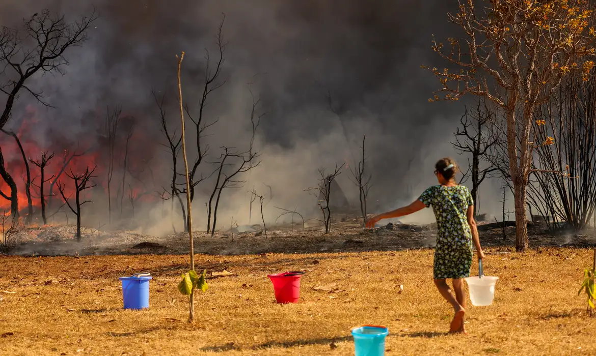 PF inicia investigação sobre incêndio em Brasília