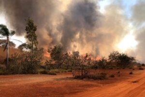 SP renova alerta de risco elevado de incêndios em todo o estado até terça (10)