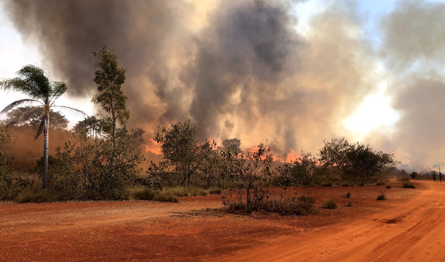 SP renova alerta de risco elevado de incêndios em todo o estado até terça (10)