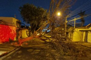 Vendaval causa estragos pela cidade na noite desta sexta