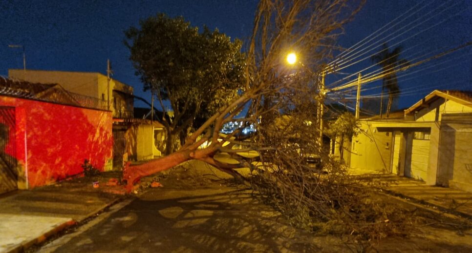 Vendaval causa estragos pela cidade na noite desta sexta