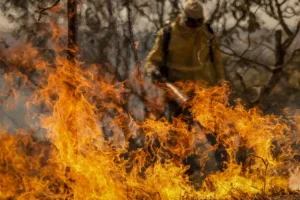 incêndios florestais