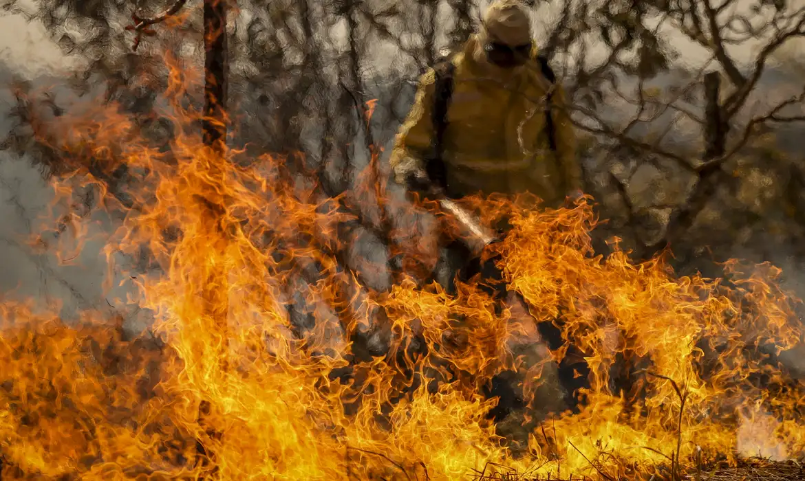 incêndios florestais