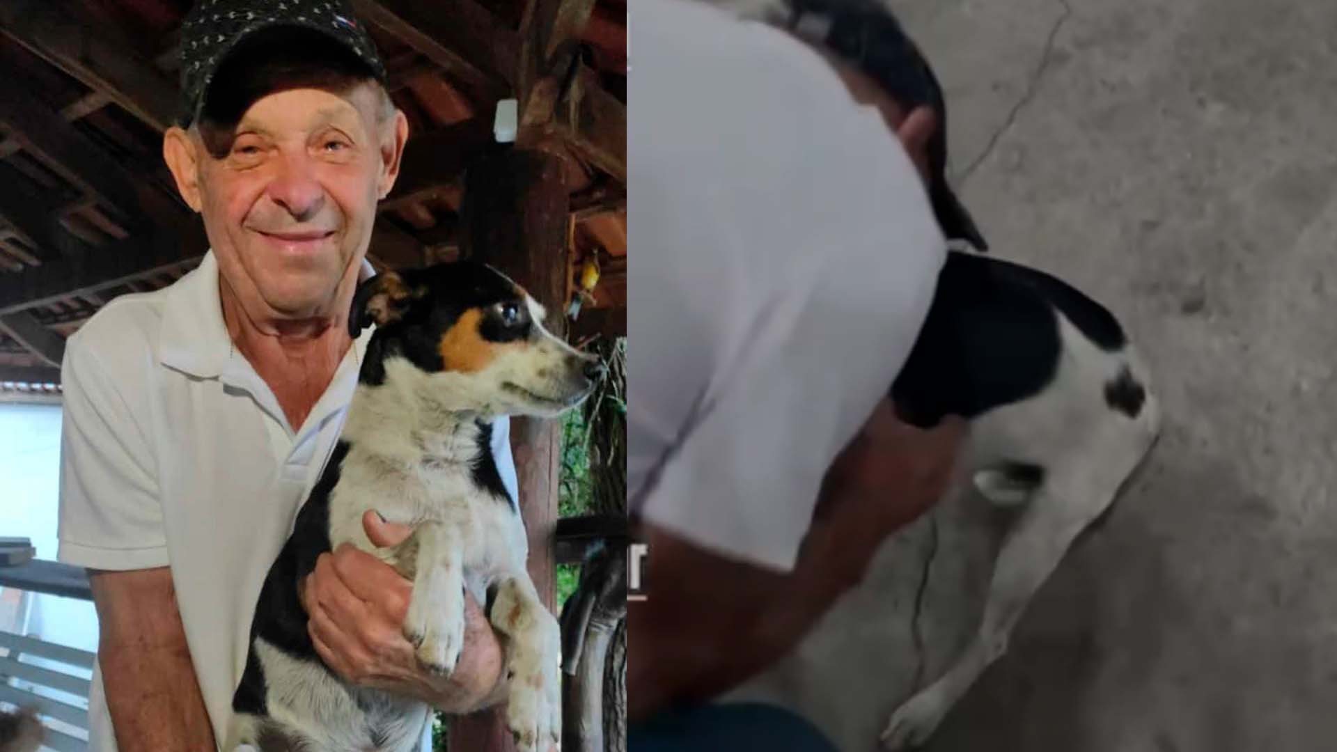 Família reencontra cachorro perdido nos Pereiras, em Limeira 