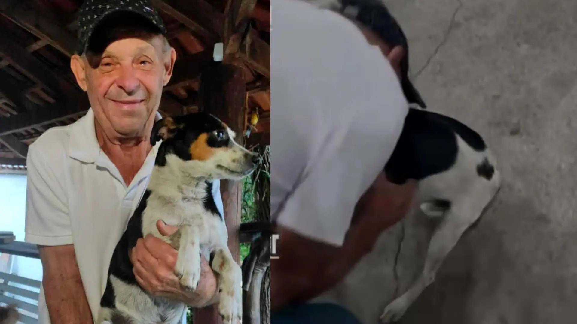 Família reencontra cachorro perdido nos Pereiras, em Limeira