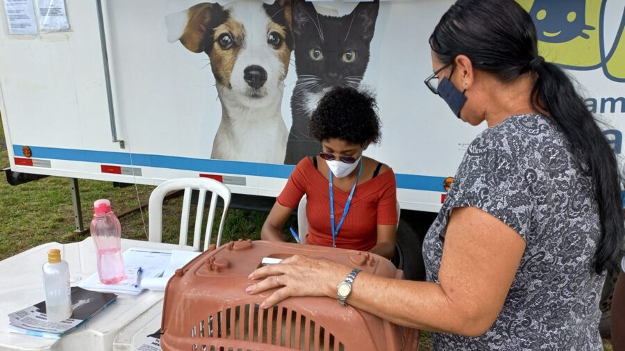 Limeira realiza ação gratuita de castração de cães e gatos neste sábado