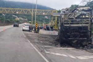 Torcida organizada do Palmeiras nega envolvimento em emboscada