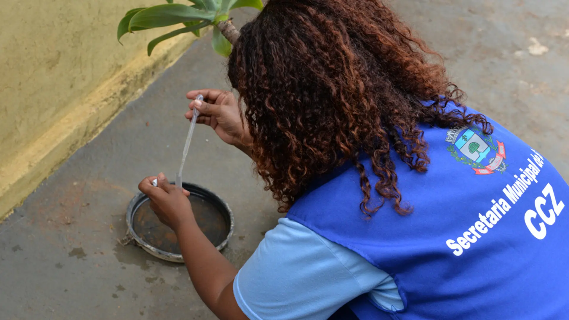 Zoonoses encontra 38 focos de dengue no Novo Horizonte, em Limeira