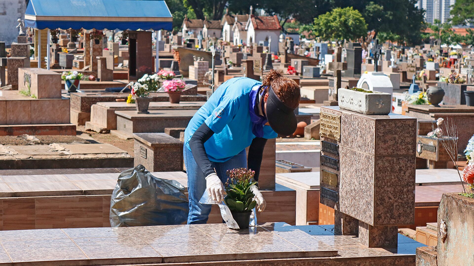 Cemitérios Saudade I e II recebem ação de prevenção à dengue em Limeira