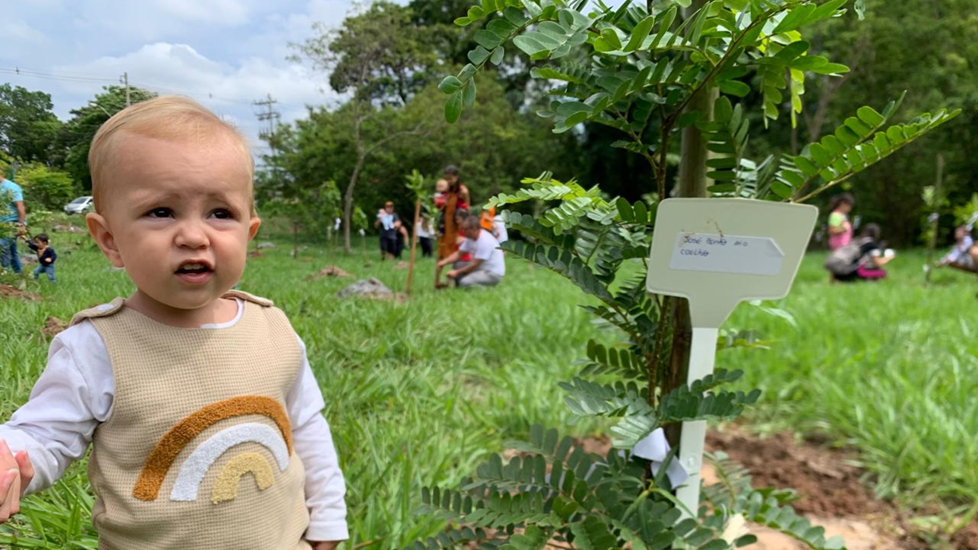 Famílias plantam mais 300 mudas de árvores no Vida+Verde