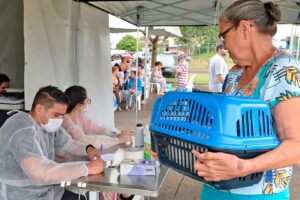 Limeira tem nova edição do Castra + neste fim de semana