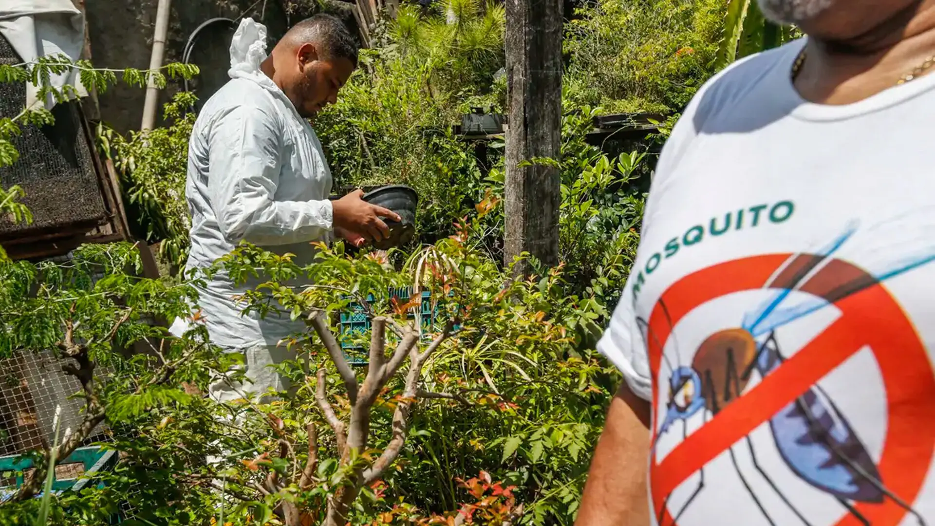 Dia D contra dengue promove ações de conscientização em todo o Brasil