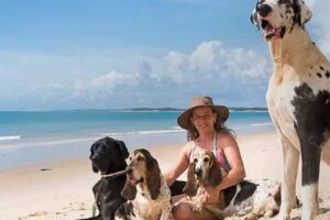 Férias chegam e trazem um dilema viajar ou não com os pets