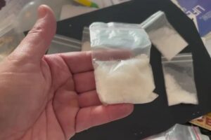 Polícia Civil desmantela máfia responsável pela produção de droga rara no Brasil1