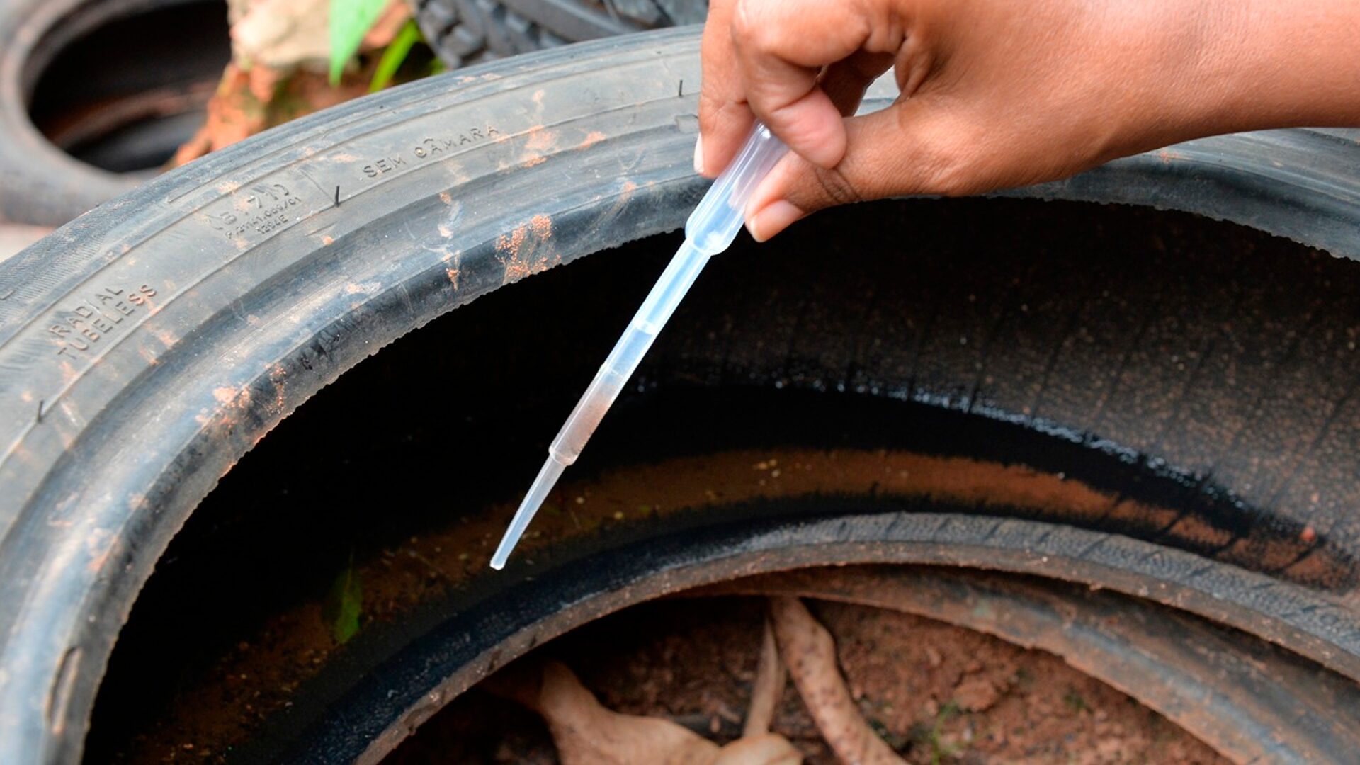 Prefeitura de Limeira reforça prevenção à dengue