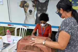 Último mutirão de castração gratuita do ano será no Parque Cidade