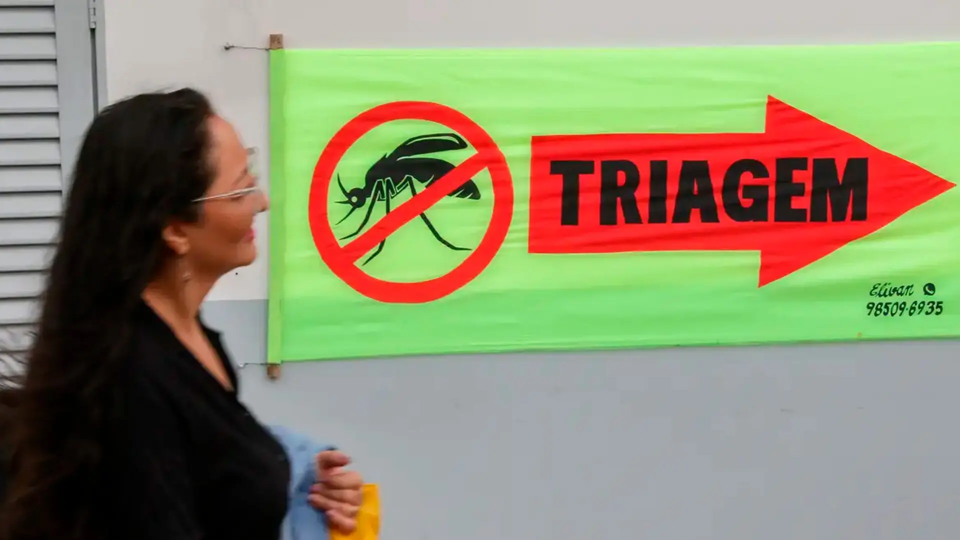 Entenda o que são sorotipos da dengue e por que o tipo 3 preocupa