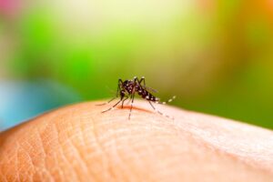 Governo de SP lança Plano de Contingência da dengue, chikungunya e Zika