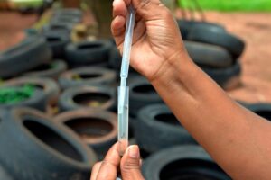 Com 80 casos confirmados, Limeira cria plano de contingência contra dengue