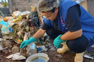 Ernesto Kühl e Gustavo Peccinini recebem mutirão da dengue neste sábado