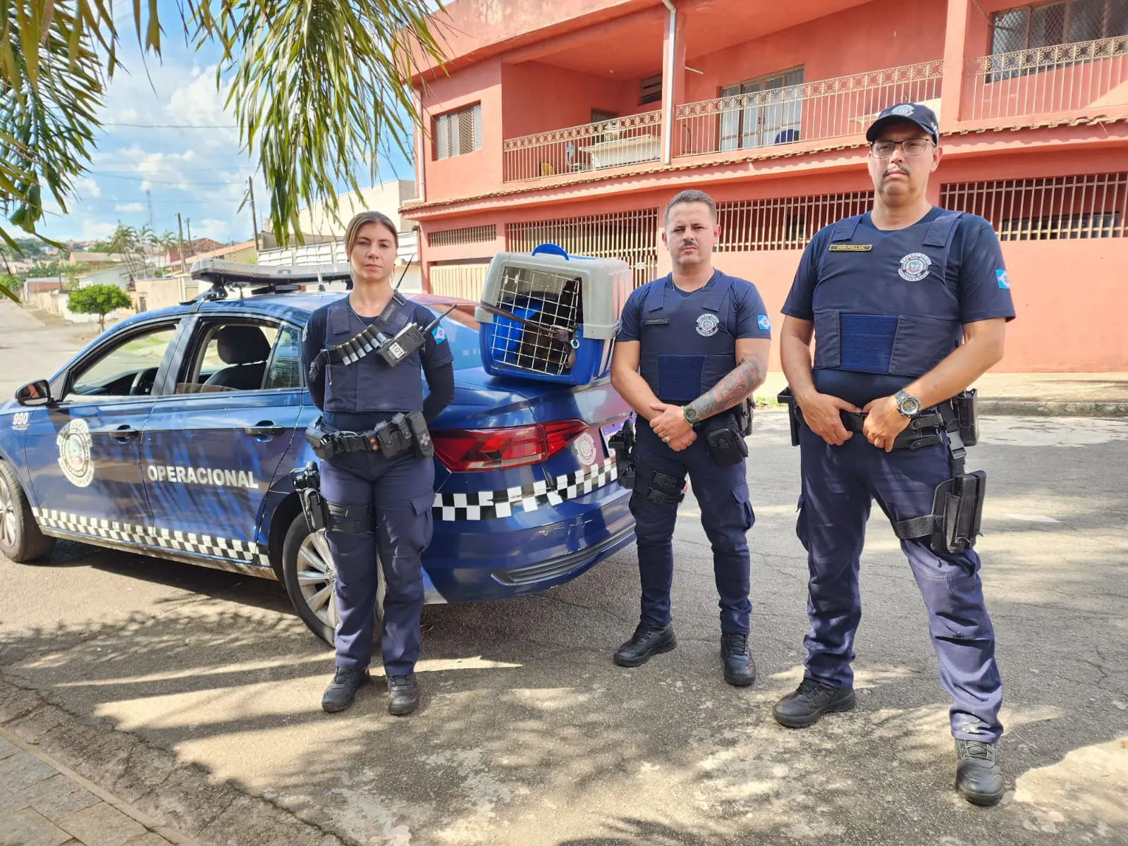 GCM de Limeira resgata cachorrinha cega acuada por cães
