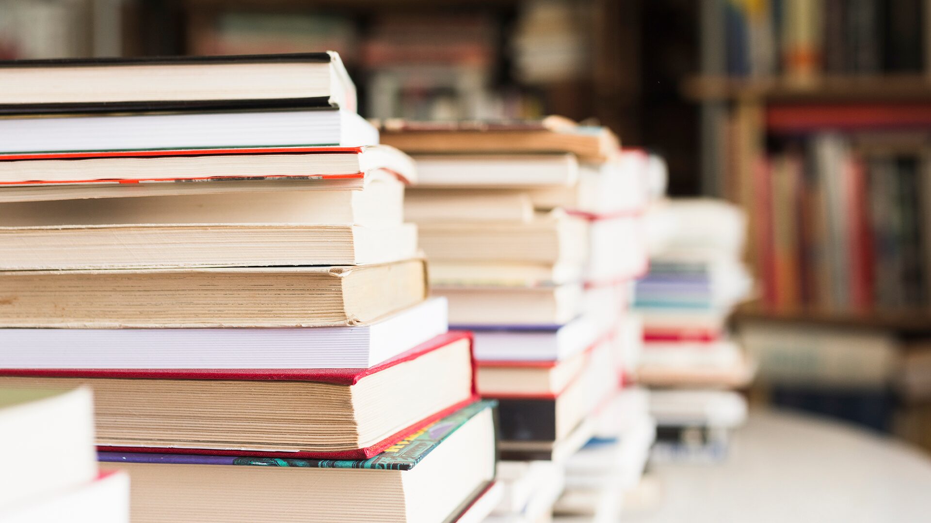 Limeira sedia encontro para debater Plano Estadual do Livro e da Leitura