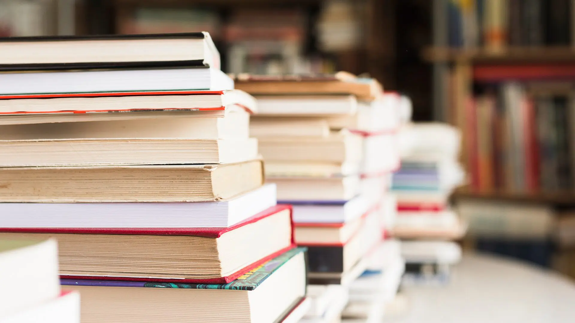 Limeira sedia encontro para debater Plano Estadual do Livro e da Leitura