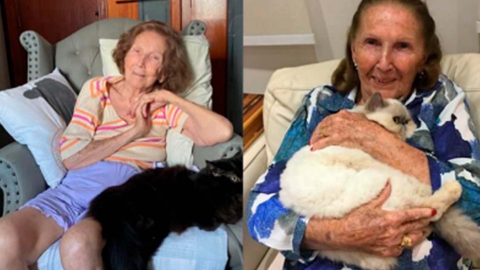 Morre Marylene Wiss, aos 85 anos, em Limeira