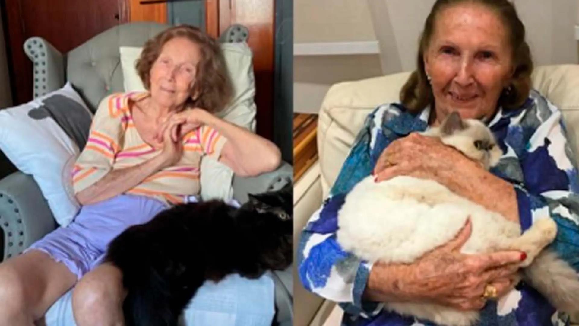 Morre Marylene Wiss, aos 85 anos, em Limeira