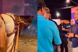 Prefeito participa de abordagem e apreende charretes e cavalos por maus-tratos