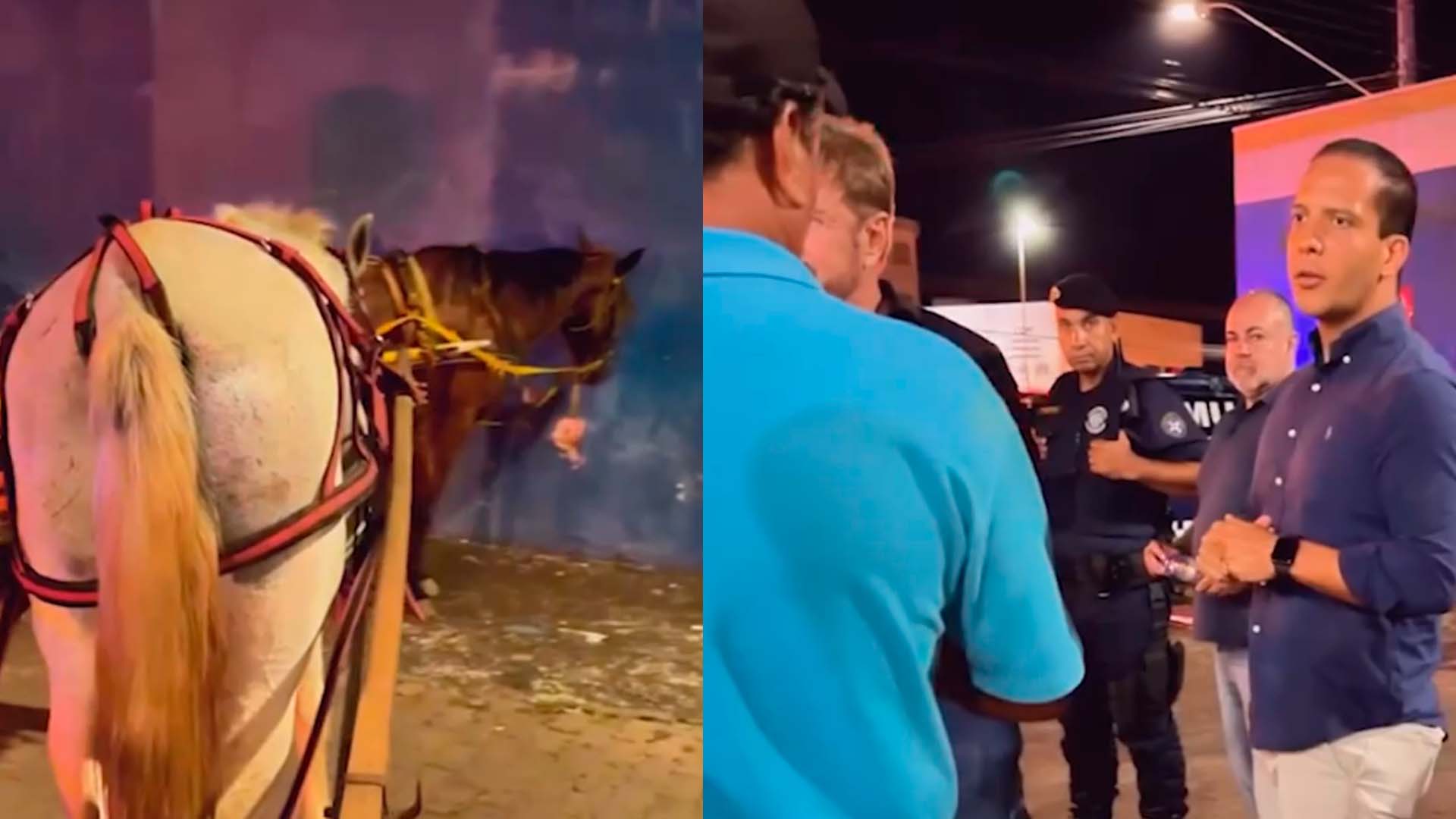 Prefeito participa de abordagem e apreende charretes e cavalos por maus-tratos