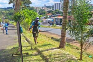 Prefeitura faz mutirão de capinação na Avenida Dr. Lauro Corrêa