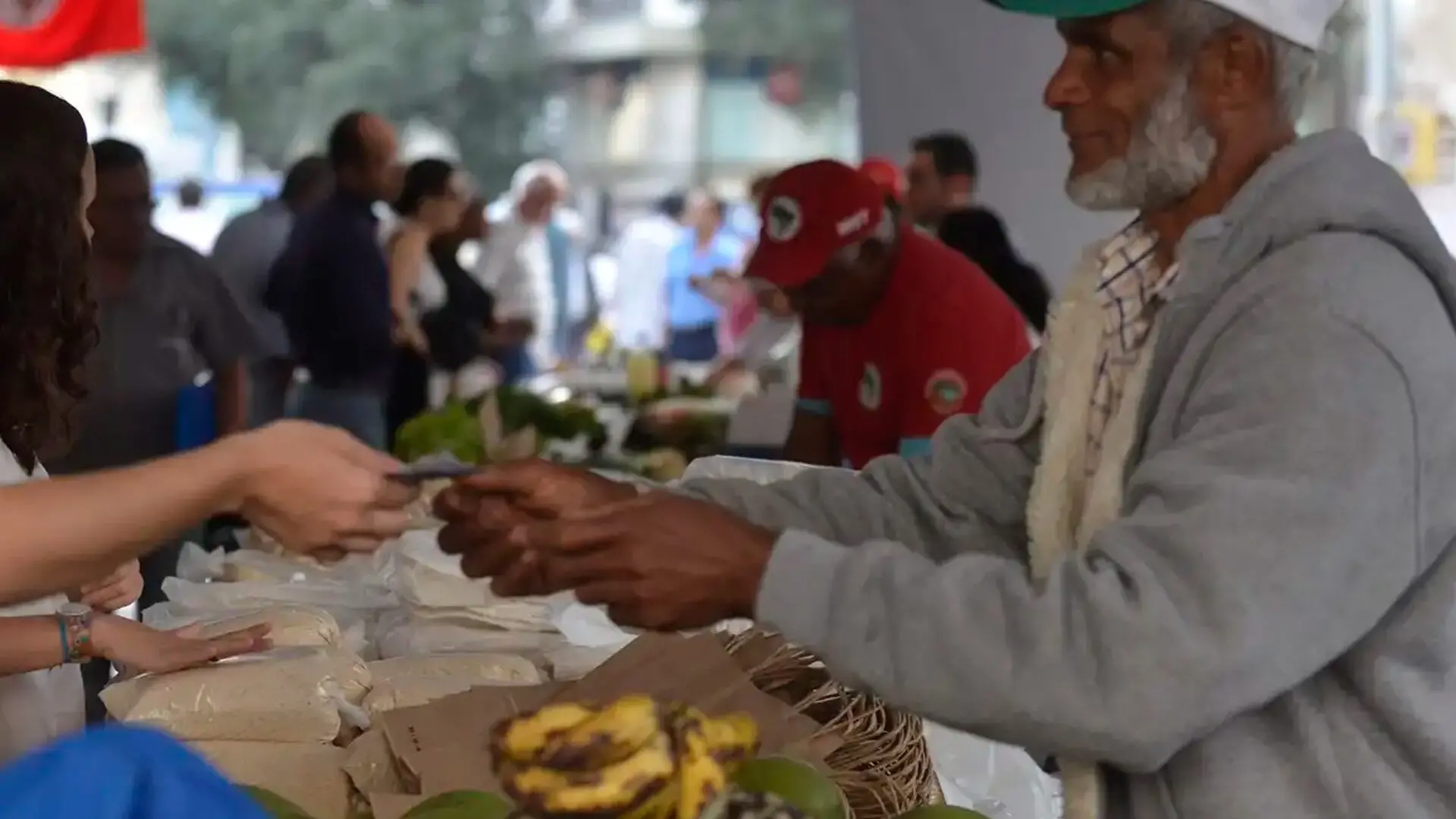 Programa Desenrola Rural entra em vigor nesta segunda-feira