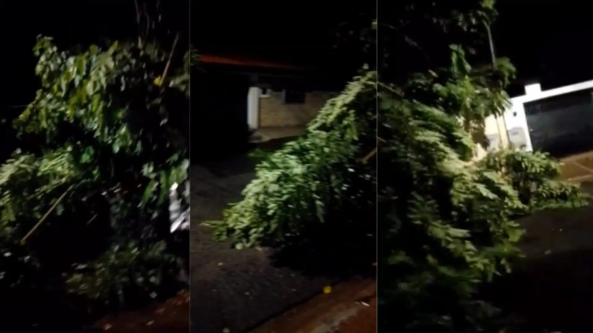 Temporal atinge Limeira no início da noite deste sábado