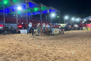 Começam as provas de Team Penning no LRM 2025; conheça a modalidade