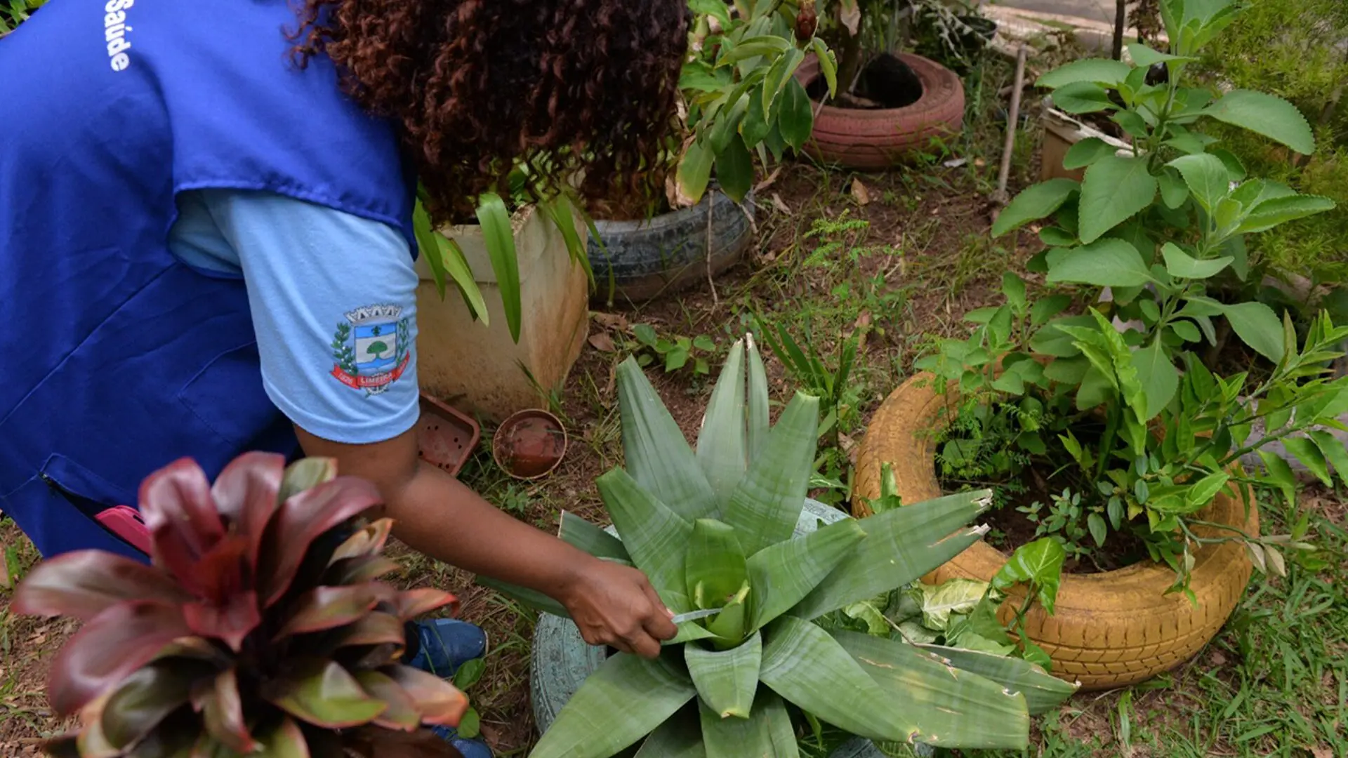 Mutirão contra dengue estará nos bairros Jd. Santa Eulália e Jd. Campo Belo neste sábado