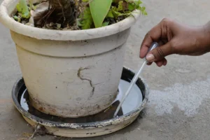 Mutirão de combate à dengue vista 2.654 imóveis em Limeira