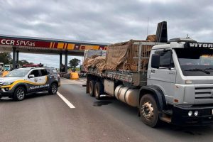 Polícia Militar Rodoviária realiza operação conjunta com a PF contra roubo de cargas em SP