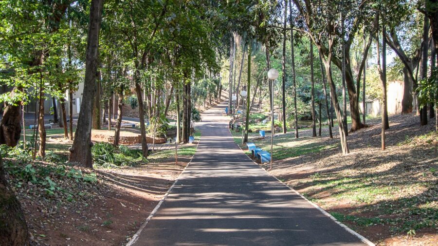 Semana da Água em Limeira tem trilhas ecológicas e doação de mudas