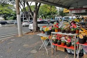 Ambulantes devem se cadastrar para atuar em cemitérios de Limeira no dia das mães