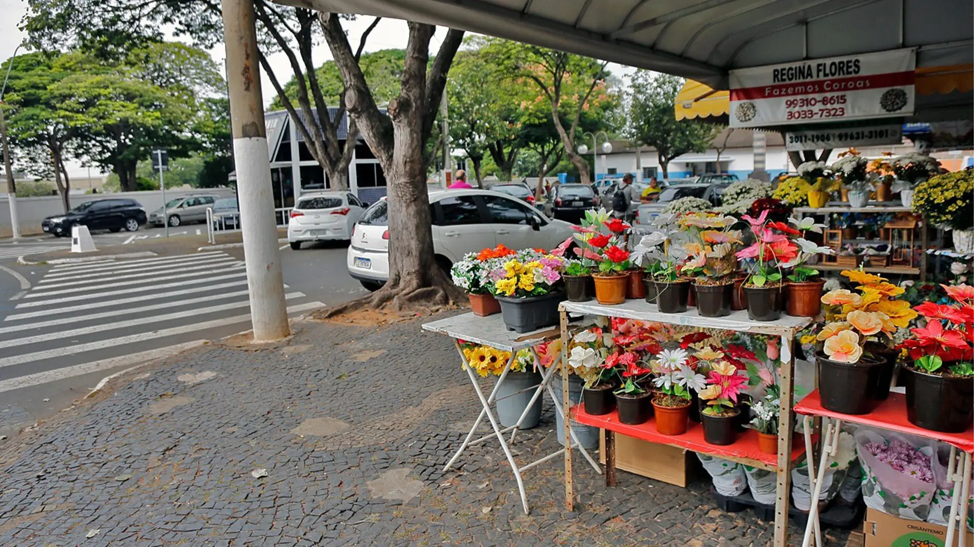 Ambulantes devem se cadastrar para atuar em cemitérios de Limeira no dia das mães