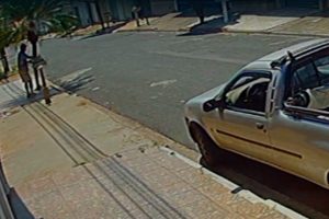 Câmera flagra homem abandonando cães no Jd. Palmeiras, em Limeira