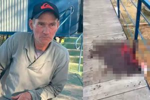 Caseiro é atacado por onça e partes do corpo são encontradas em mata no MS