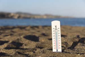 Cientista alerta para risco de nova extinção em massa