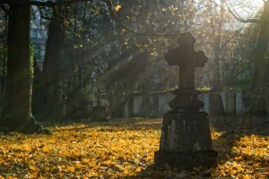 Confira o obituário de hoje, 29 de abril de 2025