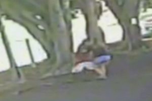 Homem que assaltou mulher e a agrediu é preso em Limeira